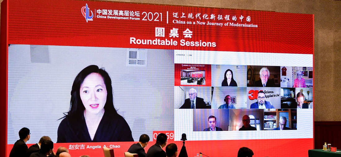 Angela Chao on Roundtable session of China Development Forum 2021
